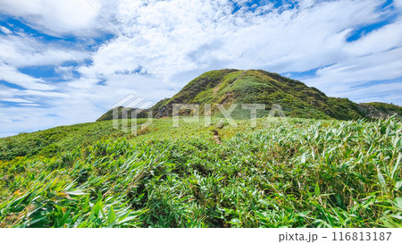 夏の雨飾山登山（笹平～山頂） 116813187