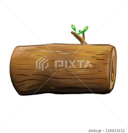 Trunk and wood isolated illustration 116813212