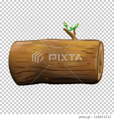 Trunk and wood isolated illustration 116813212