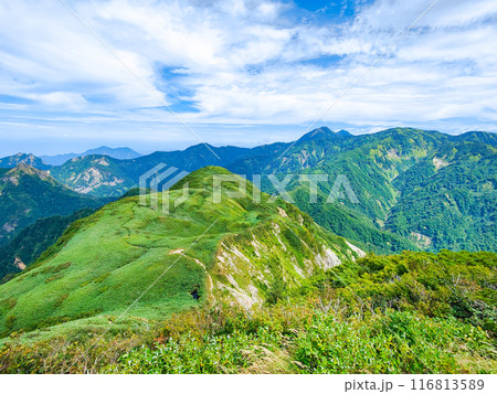夏の雨飾山登山：山頂から笹平・焼山方面の眺め 116813589