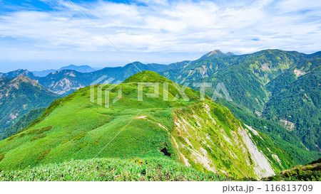 夏の雨飾山登山：山頂から笹平・焼山方面の眺め 116813709
