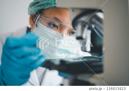Female researchers are experimenting with pipette dropping a sample into a test tube in an experiment research in laboratory... 116813823