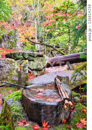 大原　宝泉院　秋の紅葉が美しい宝楽園（京都市左京区） 116814159