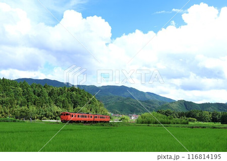 【JR西日本】キハ47形と田園風景(山口線:徳佐〜船平山) 【JR西日本】キハ47形と田園風景(山口線:徳佐〜船平山) 116814195