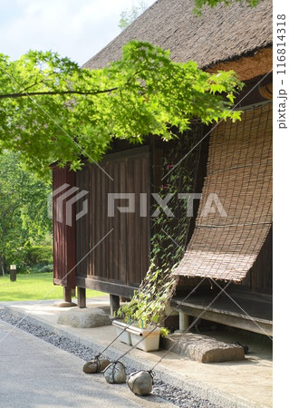 朝顔と簾のある日本の夏の家 116814318