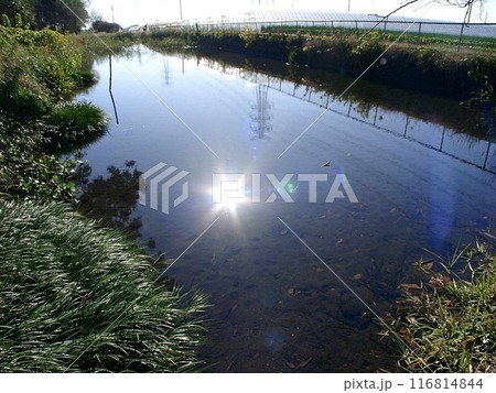 国指定史跡 新田荘遺跡 矢太神(やだいじん)水源(2010.12.5) 湧水地では自噴現象が観測 116814844