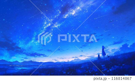 ミルキーウェイと星空の下で幻想的な田園風景 ミルキーウェイと星空の下で幻想的な田園風景 116814867
