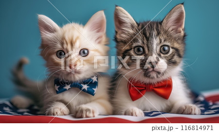 Patriotic cute kittens in bow ties and pose on American flag. Independence Day or flag day 116814971