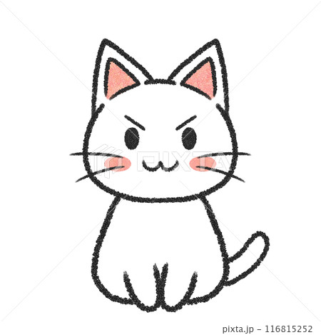 座っているねこ（白猫） 116815252