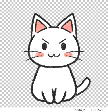Sitting cat (white cat) 116815252