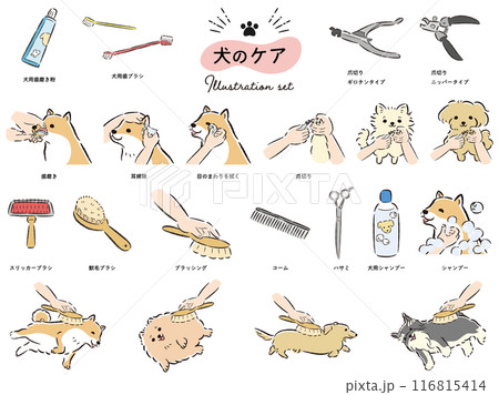 犬のケアのイラストセット 116815414