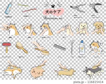 犬のケアのイラストセット 116815414
