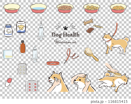 狗狗健康相關插圖集 116815415