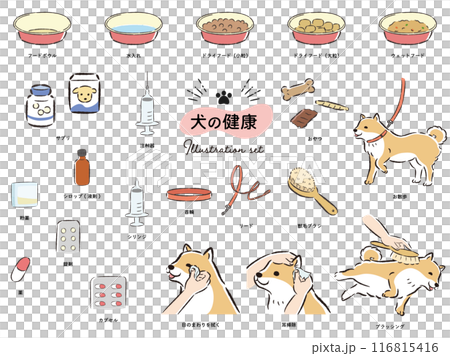 Dog health related illustration set Dog health related illustration set 116815416
