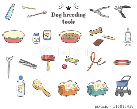 犬の飼育グッズのイラストセット 犬の飼育グッズのイラストセット 116815419