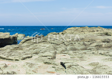 青森県深浦町　千畳敷海岸 116815553