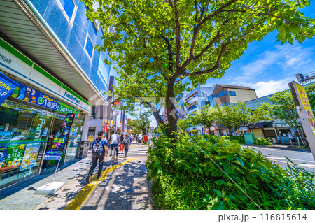 日本の東京都市景観 東急電鉄 桜新町駅前などを望む 日本の東京都市景観 東急電鉄 桜新町駅前などを望む 116815614