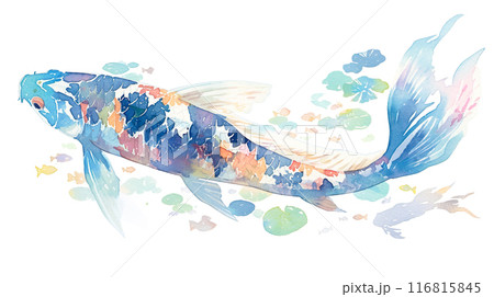 カラフルで幻想的な鯉の水彩イラスト 116815845