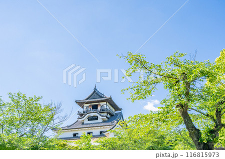 犬山城　国宝に指定されている最も古い城　日本で最後まで個人が所有していた城 116815973