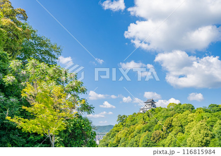 犬山城　国宝に指定されている最も古い城　日本で最後まで個人が所有していた城 116815984