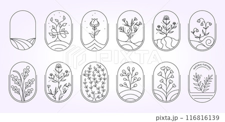 botanical bundle floral element hand draw logo with leaves. Logo for spa and beauty salon, boutique, organic shop and wedding botanical bundle floral element hand draw logo with leaves. Logo for spa and beauty salon, boutique, organic shop and wedding 116816139
