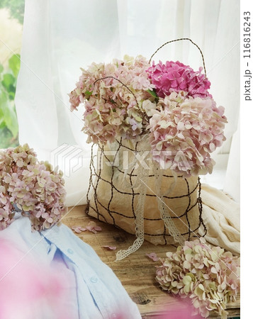窓辺に色あせたアジサイ 116816243