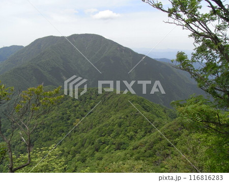 西丹沢の自然（神奈川県） 116816283