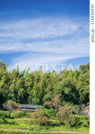 秋の田舎の風景 116816430