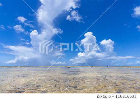 美しいサンゴ礁の海と空 美しいサンゴ礁の海と空 116816633