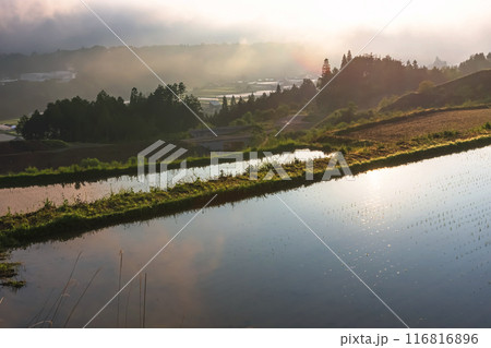 240608上野平z081 116816896