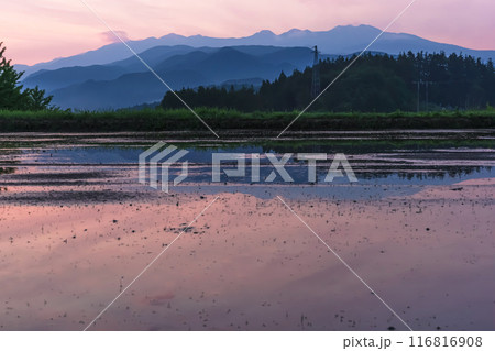 240608上野平z025 240608上野平z025 116816908