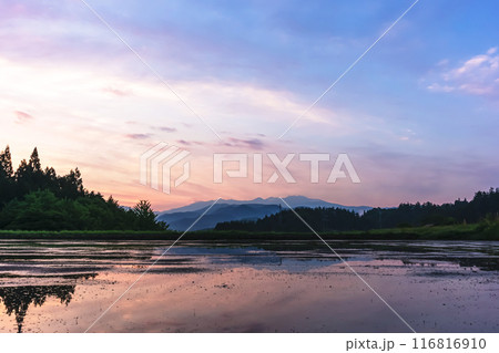 240608上野平z029 116816910