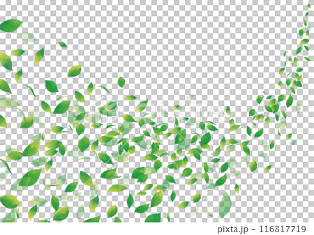 水彩風　緑の葉っぱが舞う 116817719