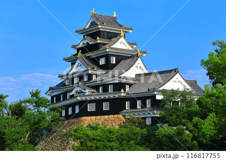 【岡山県】晴天の岡山城（令和の大改修後） 116817755