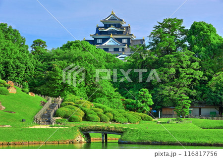 【岡山県】晴天の後楽園と岡山城(令和の大改修後) 【岡山県】晴天の後楽園と岡山城(令和の大改修後) 116817756