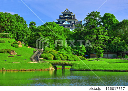 【岡山県】晴天の後楽園と岡山城（令和の大改修後） 116817757