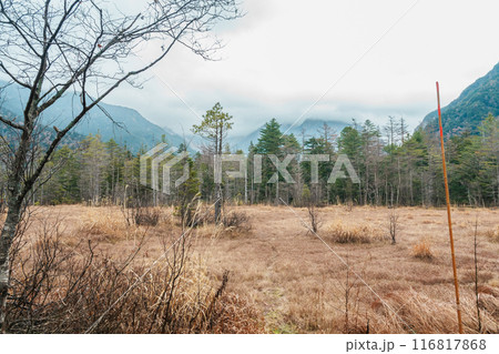 View of Kamikochi National Park, meadow fields with Hotaka mountain, Nagano Prefecture, Japan. Landmark for tourists attraction. Japan Travel, Destination and Vacation View of Kamikochi National Park, meadow fields with Hotaka mountain, Nagano Prefecture, Japan. Landmark for tourists attraction. Japan Travel, Destination and Vacation 116817868