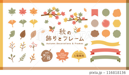 秋の飾りとフレームのイラストセット　あしらい　装飾　紅葉　もみじ　イチョウ　リボン　葉　枝　木の実 116818136