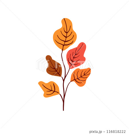 Folk plant. Red orange and terracotta leaves on a branch. Autumn botany yellow berries Minimalistic style. Flat isolated vector illustration. No AI. hand drawn 116818222
