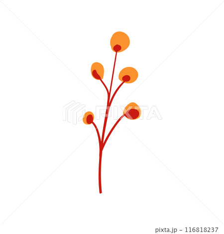 Folk plant. Simple yellow round leaves on a branch. Cartoon autumn botany berries. Minimalist style. Flat isolated vector illustration. No AI. hand drawn 116818237