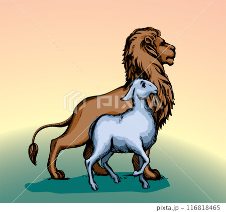 Vector drawing. Lion and lamb walks together Vector drawing. Lion and lamb walks together 116818465