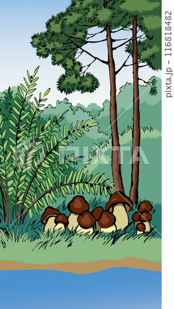 Vector drawing. Forest harvest of mushrooms 116818482
