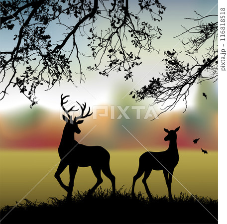 Silhouette of deer in the grass by the oaks. Vector drawing 116818518