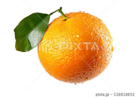 A fresh, juicy orange with water droplets represents natural, vibrant citrus goodness isolated on a white transparent background A fresh, juicy orange with water droplets represents natural, vibrant citrus goodness isolated on a white transparent background 116818652