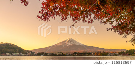 Mount Fuji view at Lake Kawaguchi in Autumn season. Mt Fujisan in Fujikawaguchiko, Yamanashi, Japan. Landmark for tourists attraction. Japan Travel, Destination, Vacation and Mount Fuji Day concept 116818697