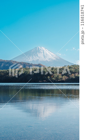 Mount Fuji at lake Saiko near Kawaguchiko, one of the Fuji Five Lakes located in Yamanashi, Japan. Landmark for tourists attraction. Japan Travel, Destination, Vacation and Mount Fuji Day concept Mount Fuji at lake Saiko near Kawaguchiko, one of the Fuji Five Lakes located in Yamanashi, Japan. Landmark for tourists attraction. Japan Travel, Destination, Vacation and Mount Fuji Day concept 116818741