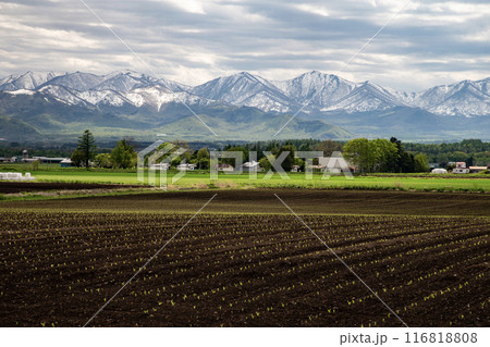 早春の十勝風景 116818808