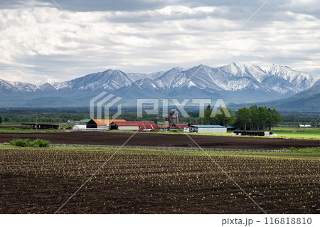 早春の十勝風景 早春の十勝風景 116818810