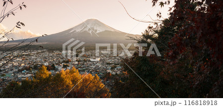 Mount Fuji view in Autumn season, colorful fall foliage leaves at Chureito Pagoda, Yamanashi, Japan. Landmark for tourists attraction. Japan Travel, Destination, Vacation and season change concept 116818918