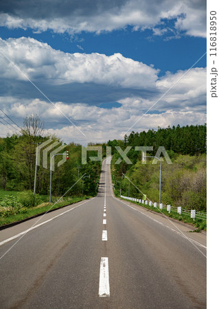 十勝平野を横切る直線道路 十勝平野を横切る直線道路 116818950